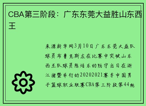 CBA第三阶段：广东东莞大益胜山东西王
